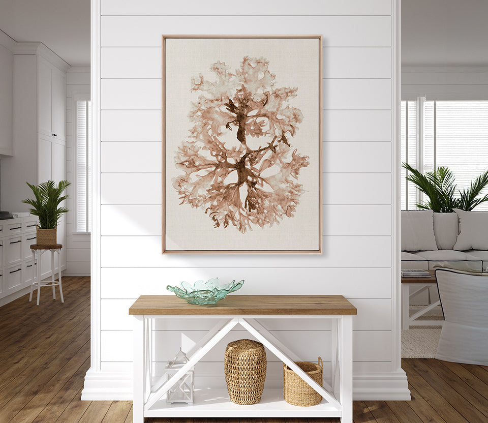 Alderney Coral I (Canvas)