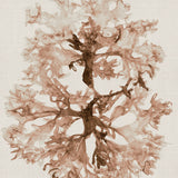 Alderney Coral I (Canvas) Large (903mm W x 1109mm H)