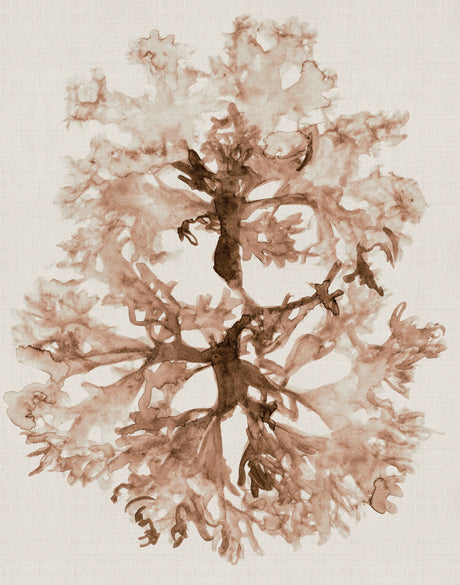 Alderney Coral I (Canvas)