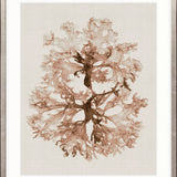 Alderney Coral I