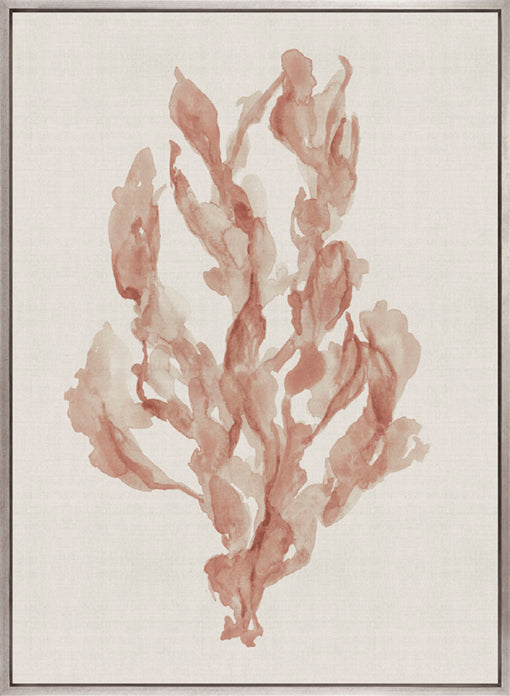 Alderney Coral II (Canvas)