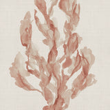 Alderney Coral II (Canvas) Large (903mm W x 1109mm H)