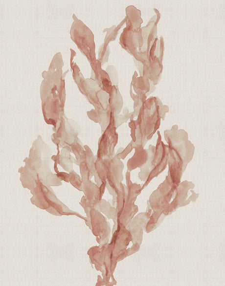 Alderney Coral II (Canvas)