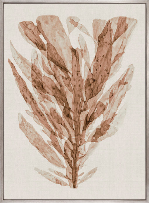 Alderney Coral III (Canvas)