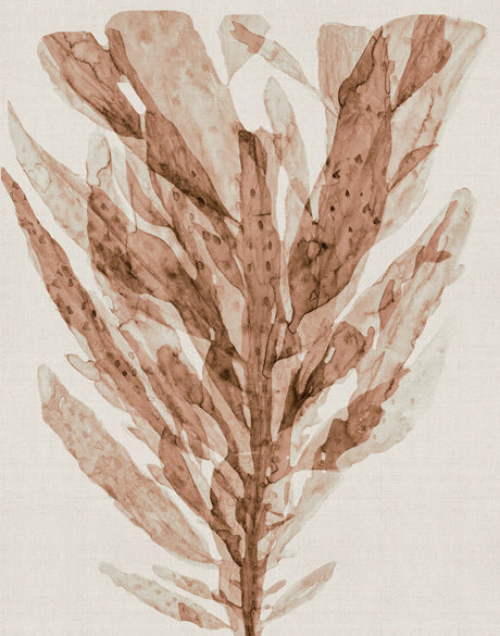 Alderney Coral III (Canvas)