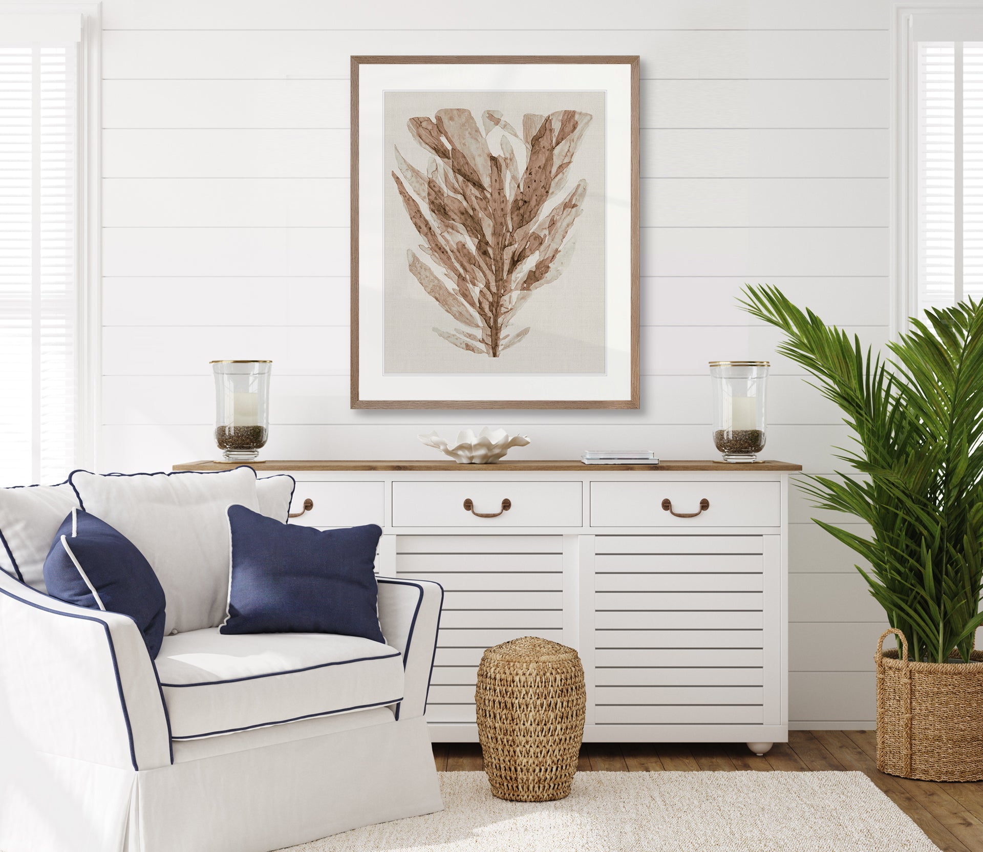 Alderney Coral Collection