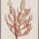 Alderney Coral IV (Canvas) Large (903mm W x 1109mm H)