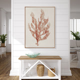 Alderney Coral IV (Canvas) Large (903mm W x 1109mm H)