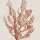 Alderney Coral IV (Canvas) Large (903mm W x 1109mm H)