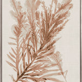 Alderney Coral V (Canvas) Large (903mm W x 1109mm H)