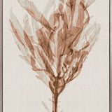 Alderney Coral VI (Canvas) Large (903mm W x 1109mm H)