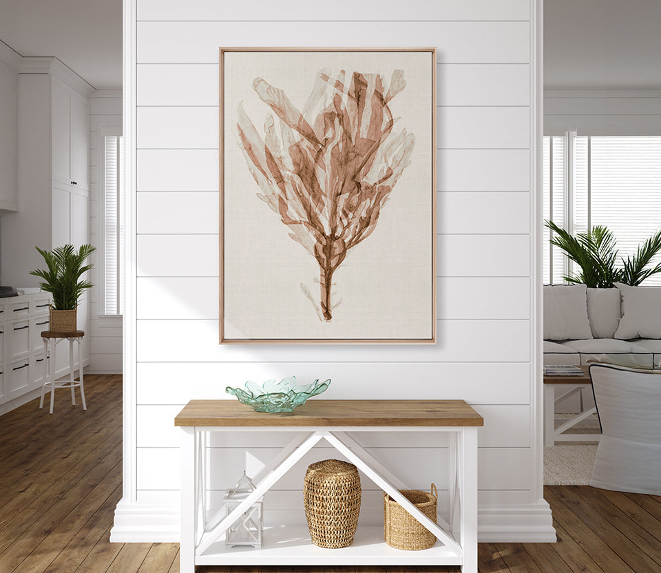 Alderney Coral VI (Canvas)