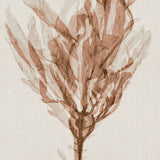 Alderney Coral VI (Canvas) Large (903mm W x 1109mm H)