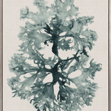 Alderney Coral VII (Canvas) Large (903mm W x 1109mm H)