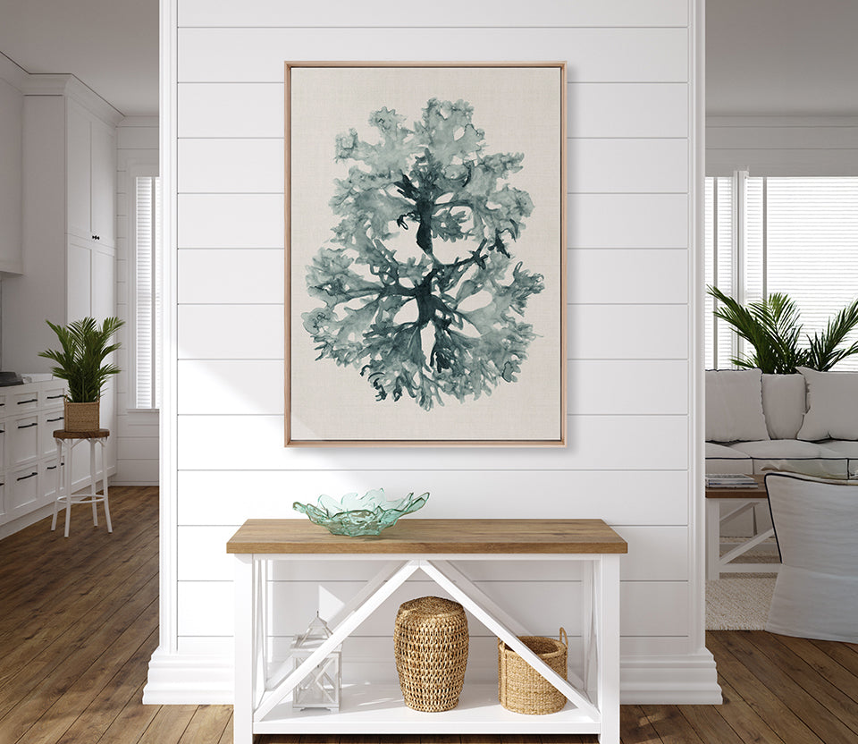 Alderney Coral VII (Canvas)