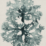 Alderney Coral VII (Canvas) Large (903mm W x 1109mm H)