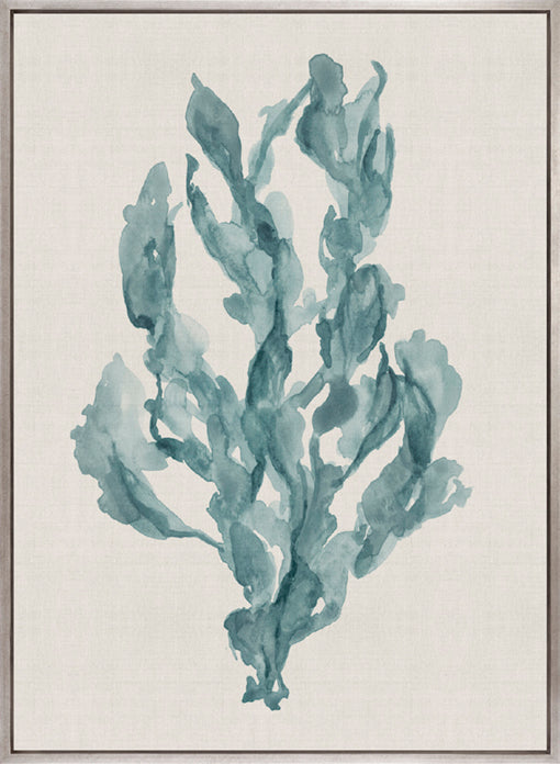 Alderney Coral VIII (Canvas)