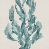 Alderney Coral VIII (Canvas) Large (903mm W x 1109mm H)