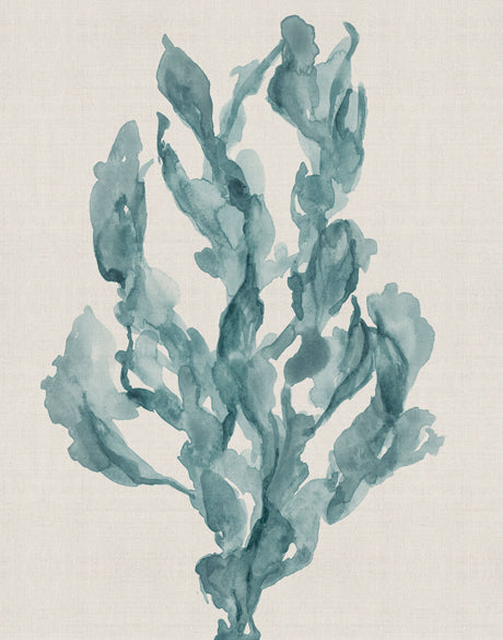 Alderney Coral VIII (Canvas)