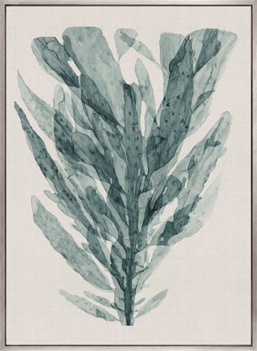 Alderney Coral IX (Canvas)