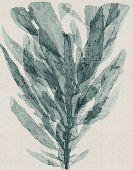 Alderney Coral IX (Canvas)