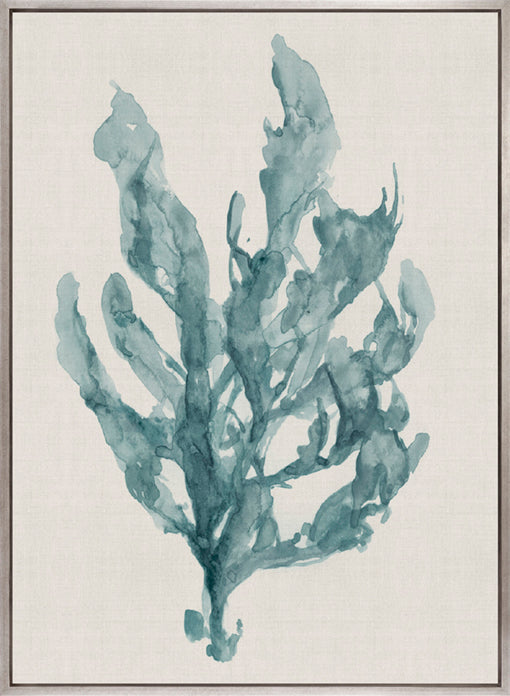 Alderney Coral X (Canvas)