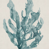 Alderney Coral X (Canvas) Large (903mm W x 1109mm H)