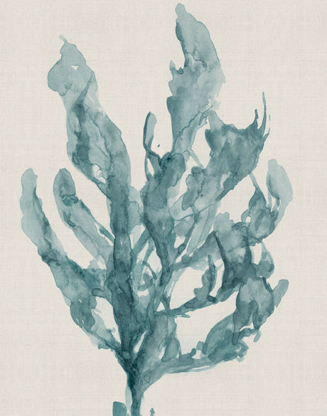 Alderney Coral X (Canvas)