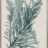 Alderney Coral XI (Canvas) Large (903mm W x 1109mm H)