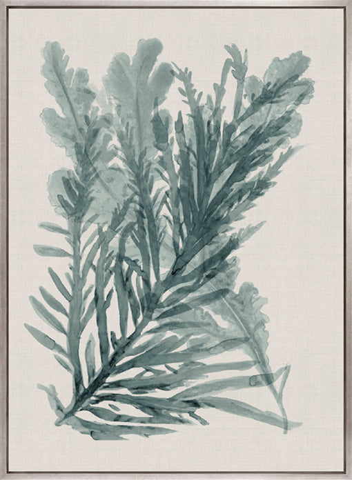 Alderney Coral XI (Canvas)