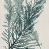 Alderney Coral XI (Canvas) Large (903mm W x 1109mm H)