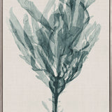 Alderney Coral XII (Canvas) Large (903mm W x 1109mm H)