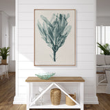 Alderney Coral XII (Canvas) Large (903mm W x 1109mm H)