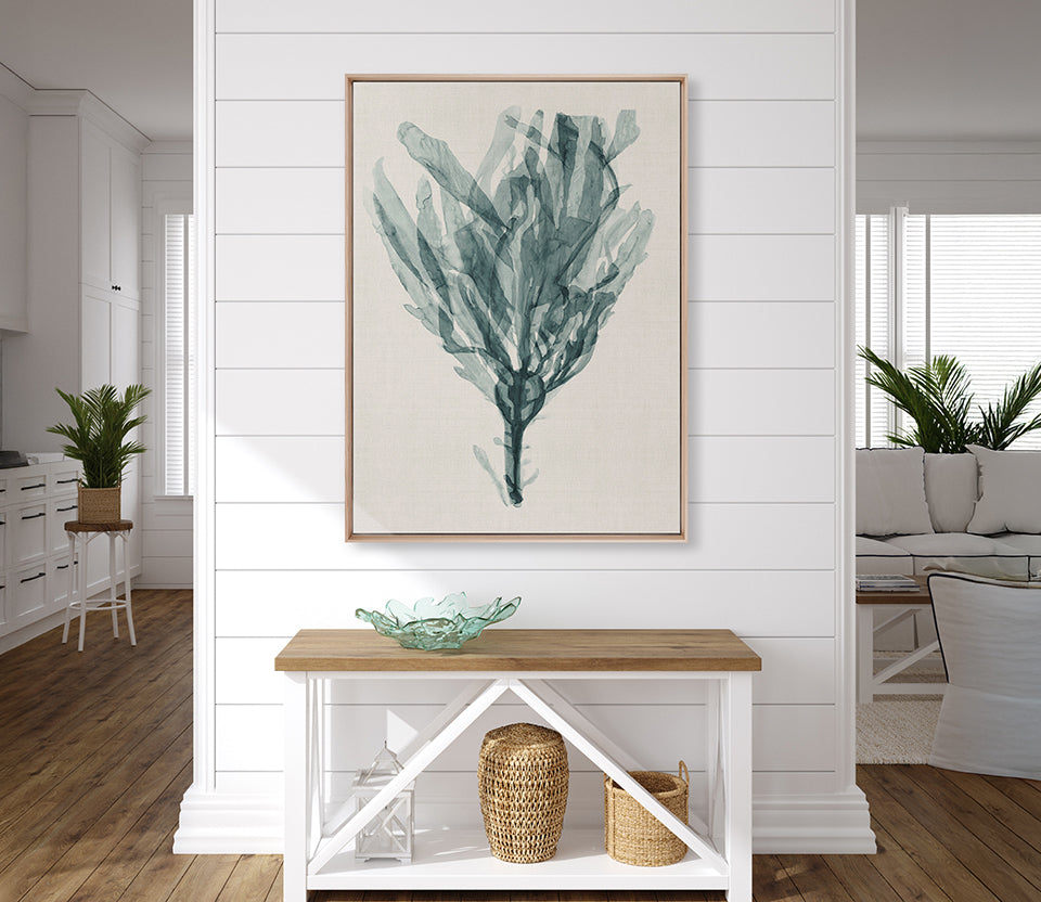 Alderney Coral XII (Canvas)