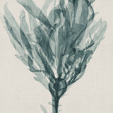 Alderney Coral XII (Canvas) Large (903mm W x 1109mm H)