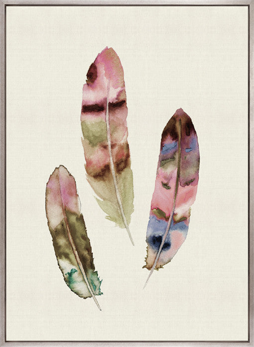 Feather Delight III (Canvas)