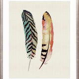 Feather Delight IV