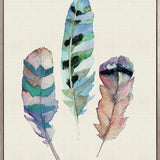 Feather Delight V (Canvas)