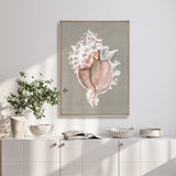 Alva Seashell I (Canvas) Large (903mm W x 1109mm H)