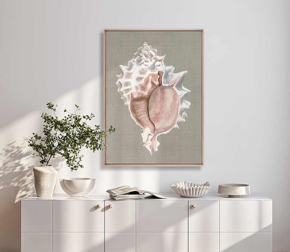 Alva Seashell I (Canvas)