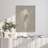 Alva Seashell II (Canvas) Large (903mm W x 1109mm H)