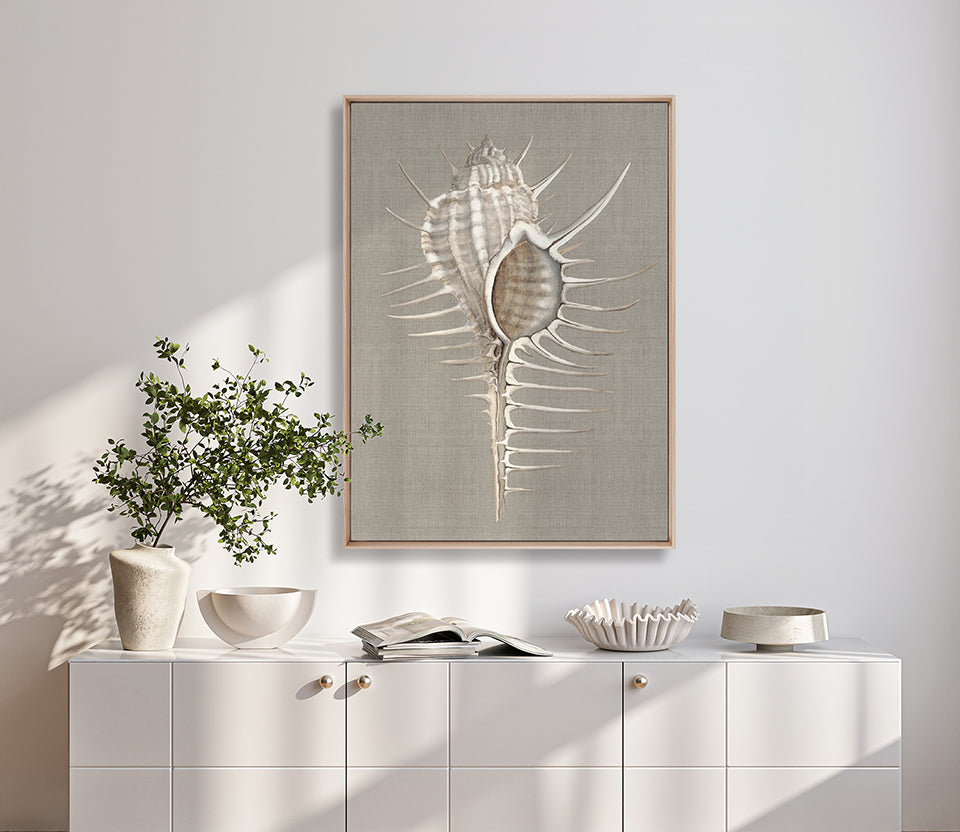 Alva Seashell II (Canvas)