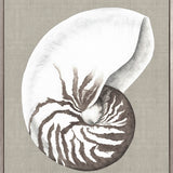Alva Seashell III (Canvas) Large (903mm W x 1109mm H)