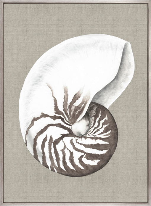 Alva Seashell III (Canvas)