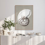 Alva Seashell III (Canvas) Large (903mm W x 1109mm H)