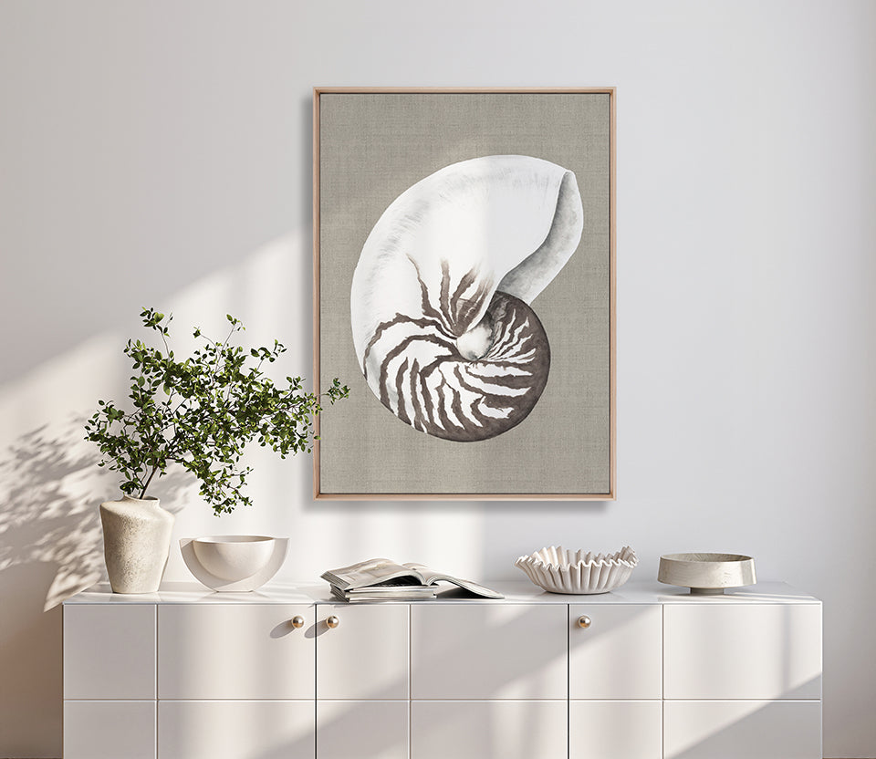 Alva Seashell III (Canvas)