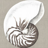 Alva Seashell III (Canvas) Large (903mm W x 1109mm H)