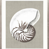 Alva Seashell III