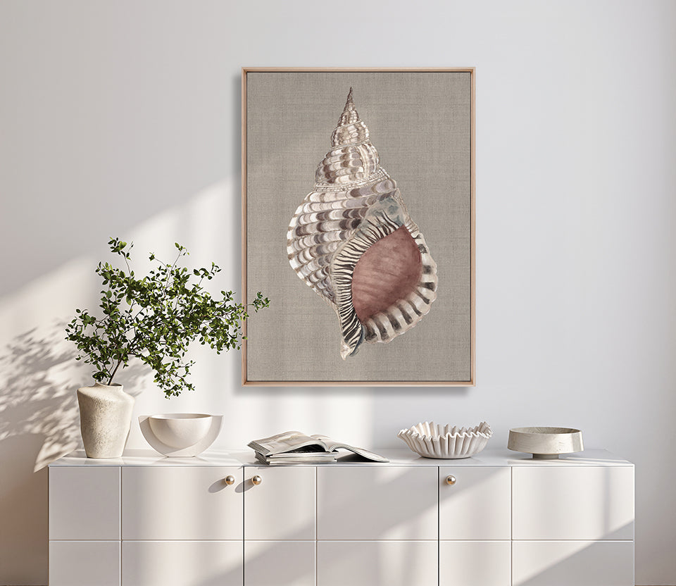 Alva Seashell V (Canvas)