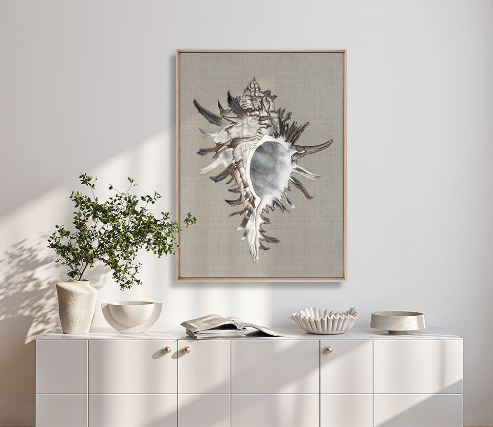 Alva Seashell VI (Canvas)